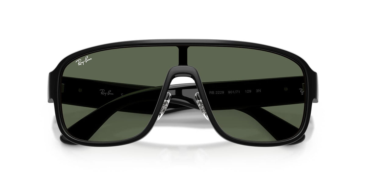 Ray-Ban RB 2229 901/71 Sunglasses