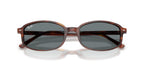 Ray-Ban RB 2232 954/62 Sunglasses