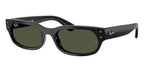 Ray-Ban RB 2236 901/31 Sunglasses