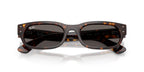Ray-Ban RB 2236 902/B1 Sunglasses