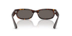 Ray-Ban RB 2236 902/B1 Sunglasses