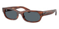Ray-Ban RB 2236 954/R5 Sunglasses