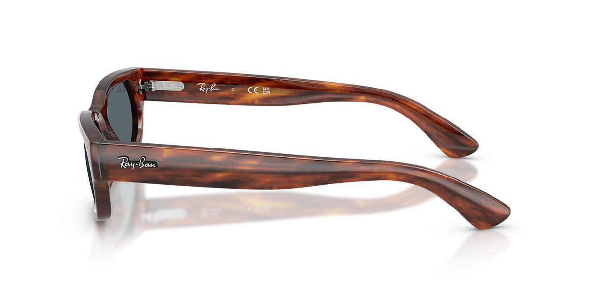Ray-Ban RB 2236 954/R5 Sunglasses