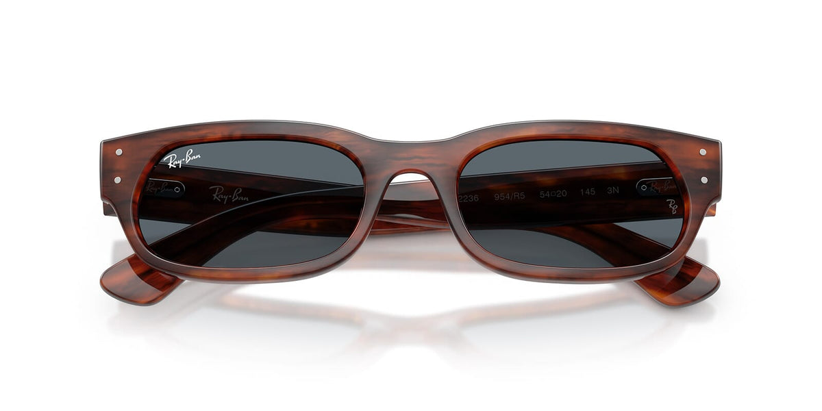 Ray-Ban RB 2236 954/R5 Sunglasses