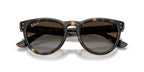 Ray-Ban RB 2237 710/T5 Sunglasses