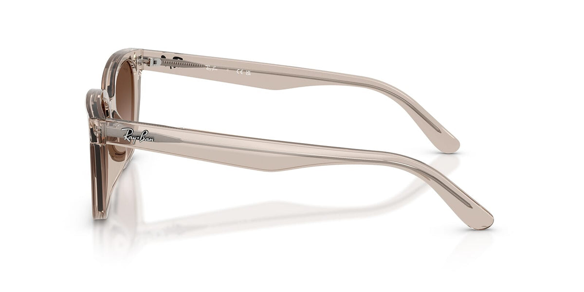 Ray-Ban RB 2243D 6827/13 Sunglasses
