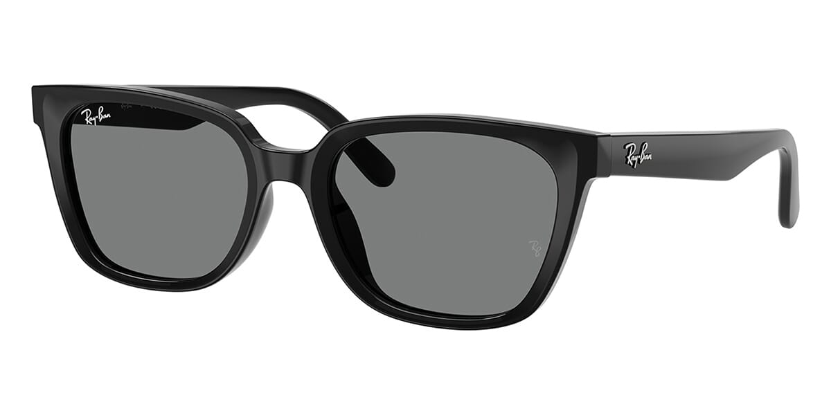 Ray-Ban RB 2243D 901/87 Sunglasses