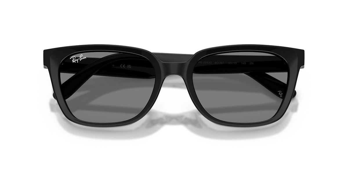 Ray-Ban RB 2243D 901/87 Sunglasses