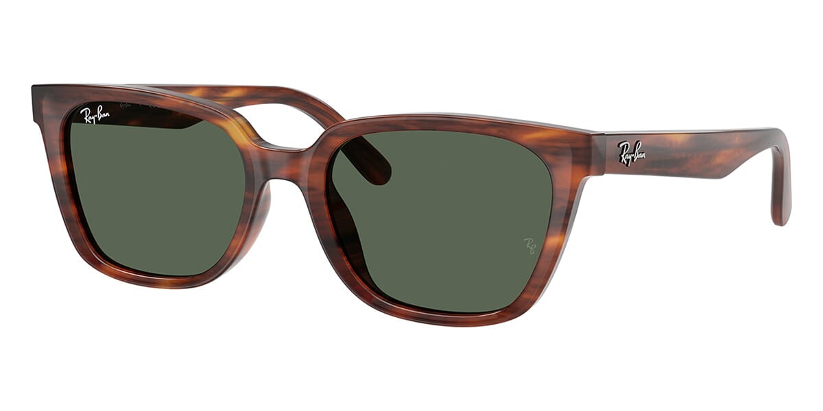 Ray-Ban RB 2243D 954/71 Sunglasses