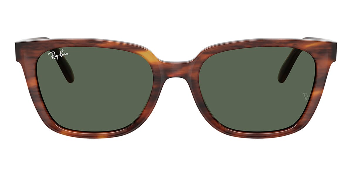 Ray-Ban RB 2243D 954/71 Sunglasses