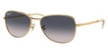 Ray-Ban RB 3733 001/78 Polarised Sunglasses