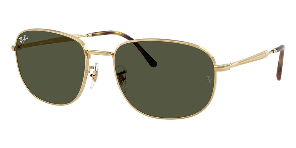 Ray-Ban RB 3754 001/31 Sunglasses