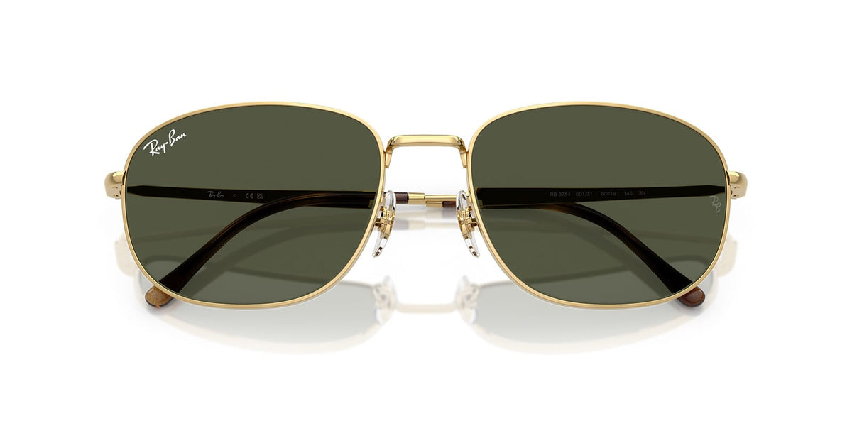 Ray-Ban RB 3754 001/31 Sunglasses