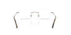 Ray-Ban RB 3767V 3207 Glasses