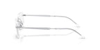 Ray-Ban RB 3768V 2501 Glasses