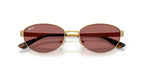 Ray-Ban RB 3774D 001/69 Sunglasses