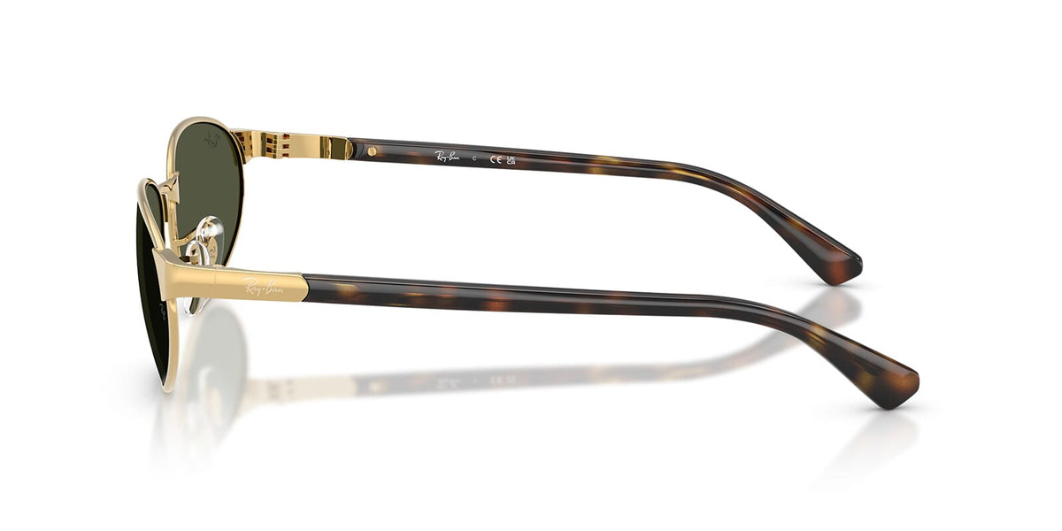 Ray-Ban RB 3777 001/31 Sunglasses