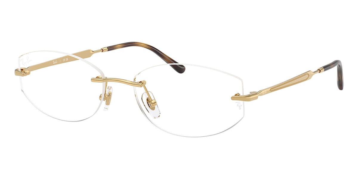Ray-Ban RB 3792V 2500 Glasses