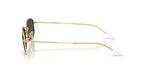 Ray-Ban RB 3832 001/31 Sunglasses