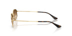 Ray-Ban RB 3832 001/51 Sunglasses