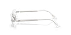 Ray-Ban RB 3928V 2501 Glasses
