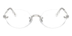 Ray-Ban RB 3929V 2501 Glasses