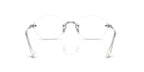 Ray-Ban RB 3929V 2501 Glasses