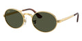 Ray-Ban RB 3931 001/31 Sunglasses