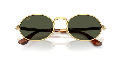 Ray-Ban RB 3931 001/31 Sunglasses