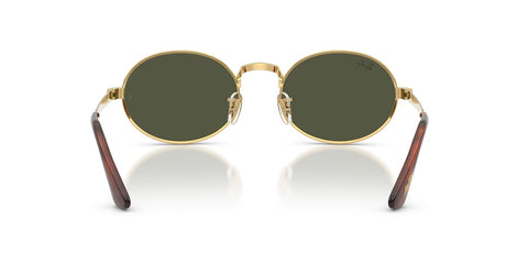 Ray-Ban RB 3931 001/31 Sunglasses