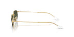 Ray-Ban RB 3947 001/31 Sunglasses