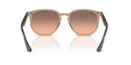 Ray-Ban RB 4306 6788/46 Sunglasses