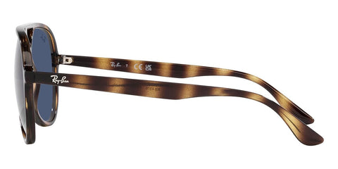 Ray-Ban RB 4376 710/80 Sunglasses