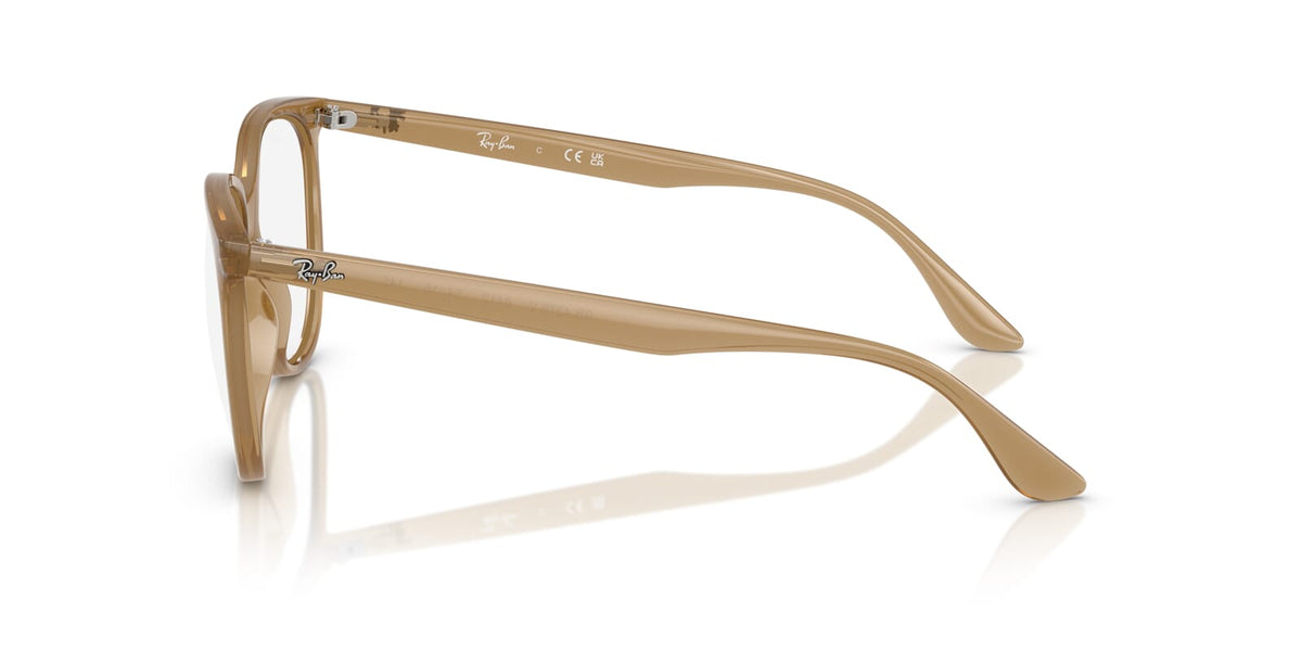 Ray-Ban RB 4378V 8412 Glasses