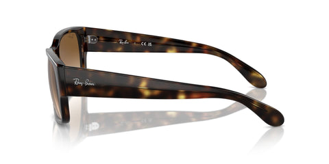 Ray-Ban RB 4388 710/51 Sunglasses