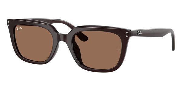 レイバン サングラス 4439D Ray-ban Rb 4439d Unisex Black Squared Sunglasses – Otticanet USA