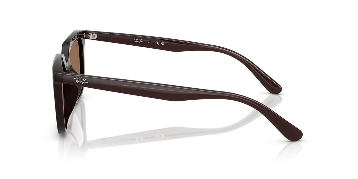 Ray-Ban RB 4439D 6231/73 Sunglasses