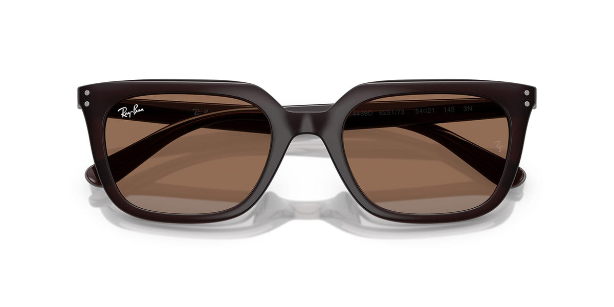 Ray-Ban RB 4439D 6231/73 Sunglasses