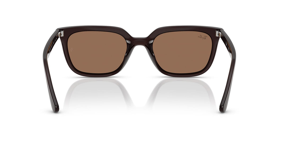 Ray-Ban RB 4439D 6231/73 Sunglasses