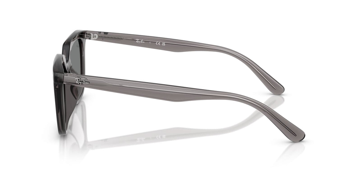 Ray-Ban RB 4439D 6675/87 Sunglasses
