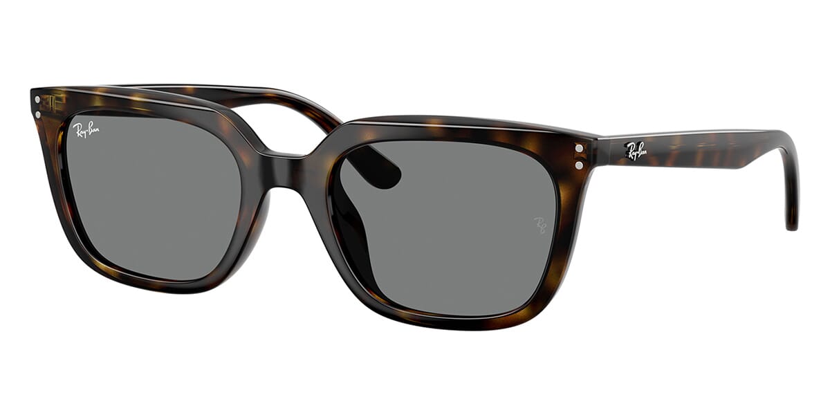 Ray-Ban RB 4439D 710/87 Sunglasses
