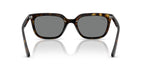 Ray-Ban RB 4439D 710/87 Sunglasses