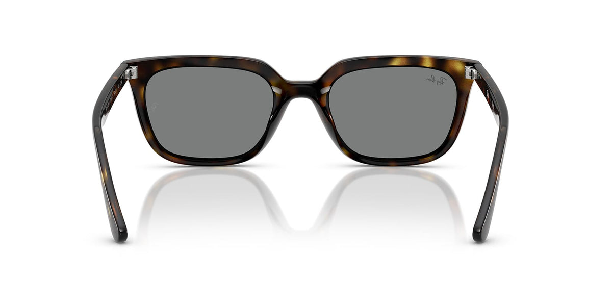Ray-Ban RB 4439D 710/87 Sunglasses