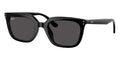 Ray-Ban RB 4439D 901/87 Sunglasses