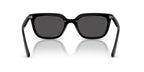 Ray-Ban RB 4439D 901/87 Sunglasses
