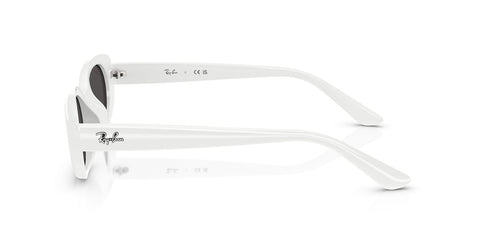 Ray-Ban RB 4441D 6772/87 Sunglasses