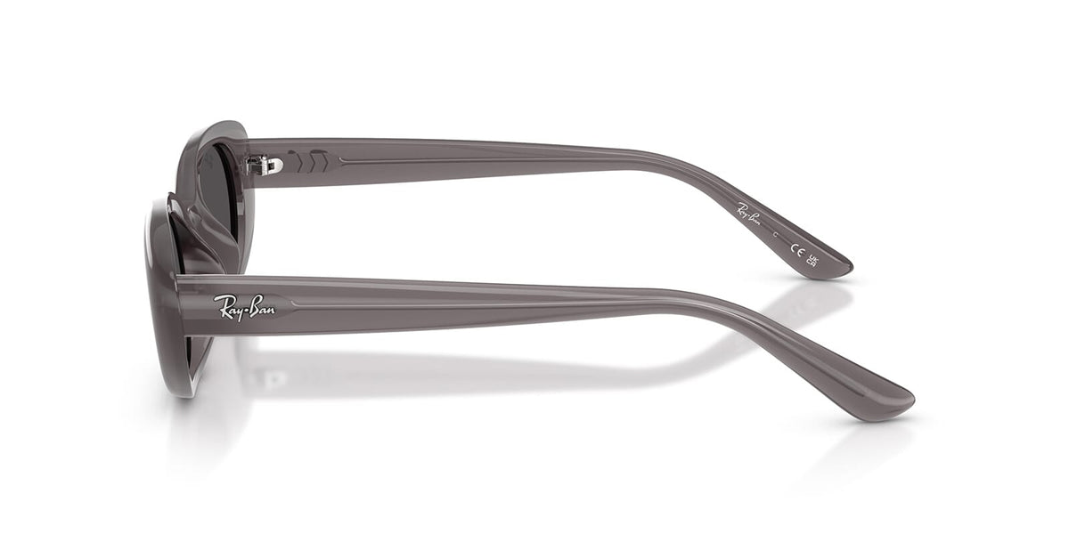 Ray-Ban RB 4441D 6777/87 Sunglasses