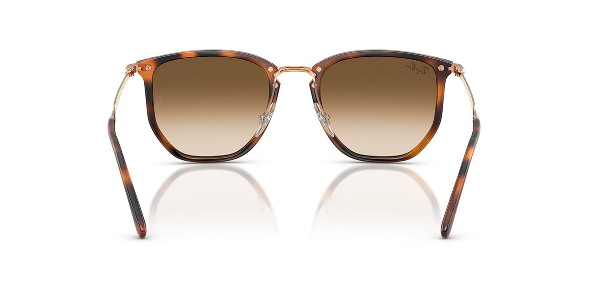 Ray-Ban RB 4451 6804/51 Sunglasses