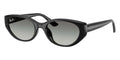 Ray-Ban RB 4457D 6677/11 Sunglasses