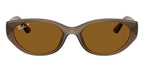 Ray-Ban RB 4457D 6779/83 Polarised Sunglasses
